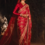Hand Embroidered Saree